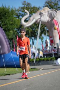 BIB: 
                            <button type="button" onclick="openModal(26545299)" class="btn btn-primary btn-sm float-right btn-popup" data-toggle="modal" data-target=".modal-high-quality">
                        <i class="fas fa-shopping-cart"></i> Add to Cart
                    </button>
                                            <button type="button" onclick="isThisMe(26545299, true)" class="btn btn-success btn-sm float-right btn-popup btn-isme hidden" data-toggle="tooltip" data-placement="bottom" title="นี่คือรูปของคุณใช่ไหม คลิกที่นี่เพื่อเอาเข้าอัลบั้ม">
                        <i class="fas fa-plus"></i> Add to album
                    </button>
                    <button type="button" onclick="isThisMe(26545299, false)" class="btn btn-warning btn-sm float-right btn-popup btn-isnotme hidden">
                        <i class="fas fa-ban"></i> Remove from album
                    </button>